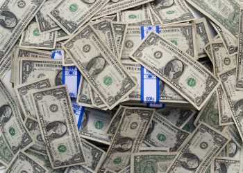 ציפור פיננסית לחשה לי