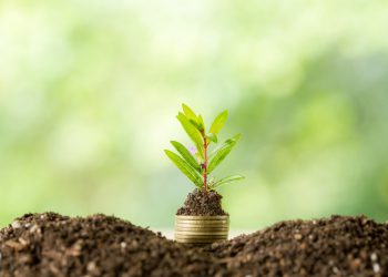 מיינדפולנס וכסף: מה הקשר ואיך תנצלו אותו לטובתכם?